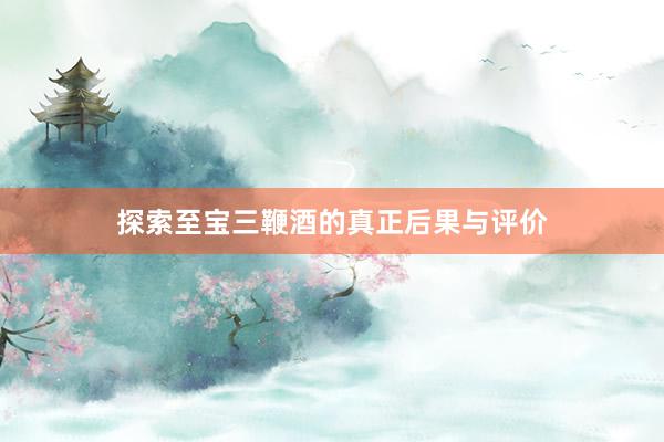 探索至宝三鞭酒的真正后果与评价